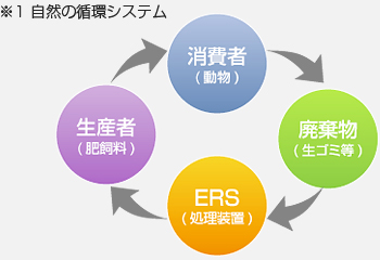 自然の循環システム